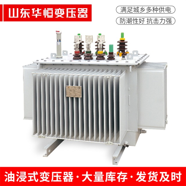 S13-10000/35顺河回族顺河回族顺河回族电力变压器